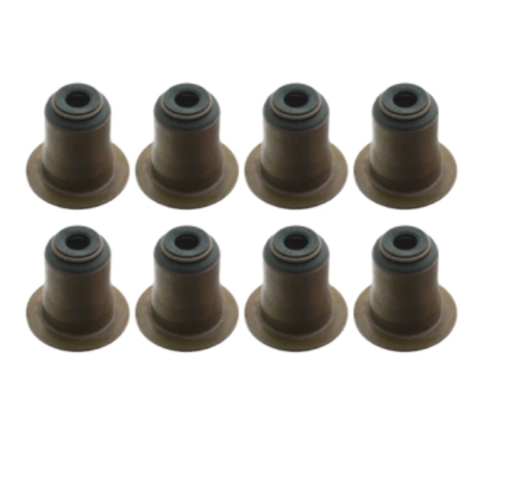 BMW Valve Stem Seal Kit (Exhaust) - 11340038720