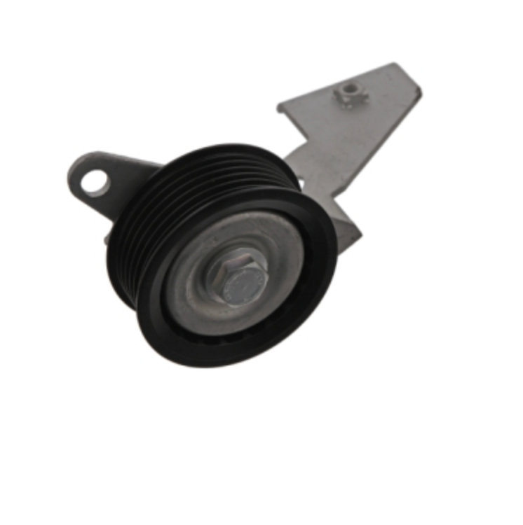 BMW Idler Pulley with bracket
