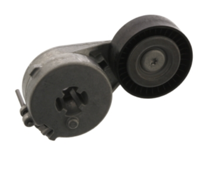 AUDI Tensioner Assembly