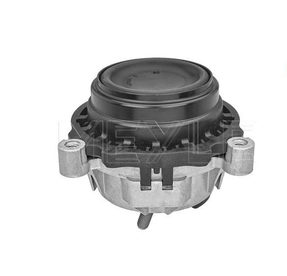 BMW Engine Mount - Left 