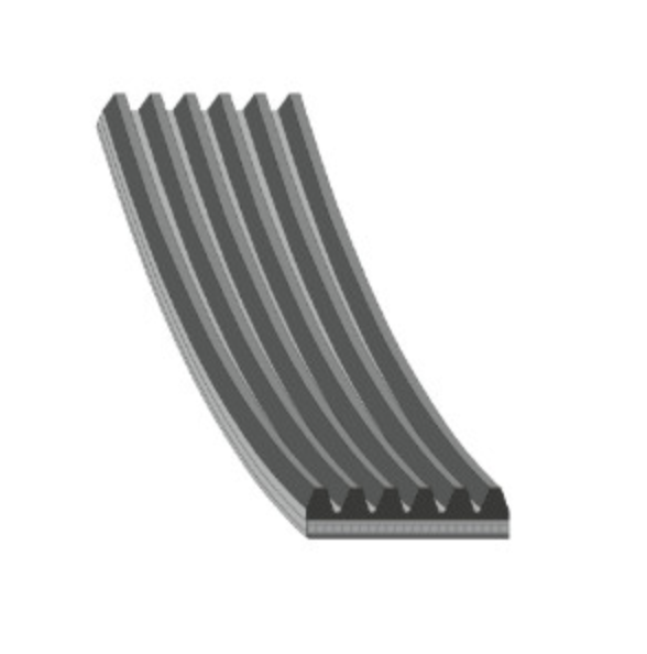 AUDI V-Belt