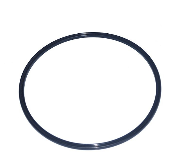 AUDI Fuel Pump B-Seal Ring