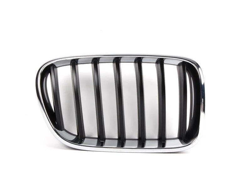 BMW Front Bumper Grille - Right