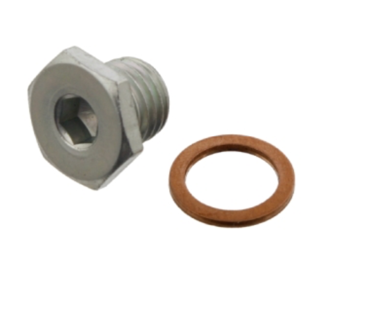 Audi_VW Oil Drain Plug with sealing ring 