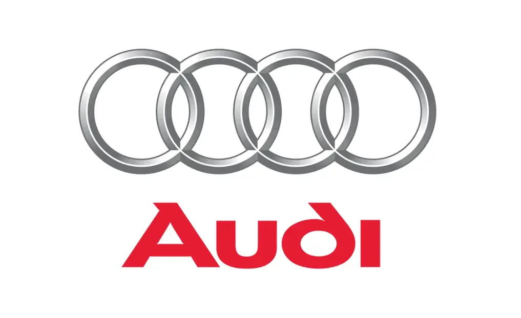 AUDI Shock Absorber - Rear (8J0513025B)