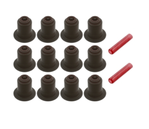 [582] BMW Valve Stem Seal Kit