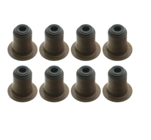 [383] BMW Valve Stem Seal Kit (Exhaust) - 11340038720