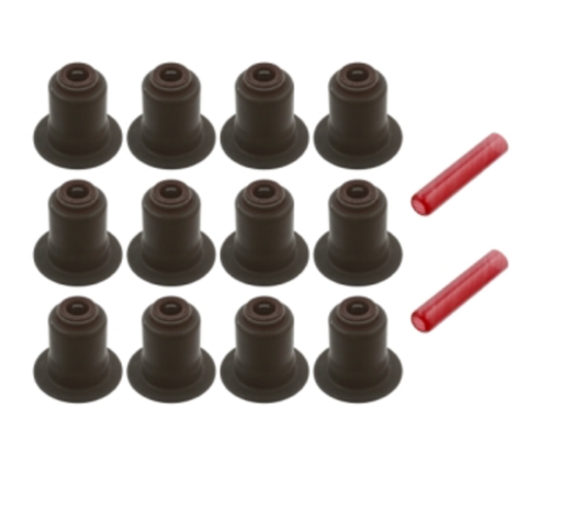 [285] BMW Valve Stem Seal (Exhaust) - 11340035853