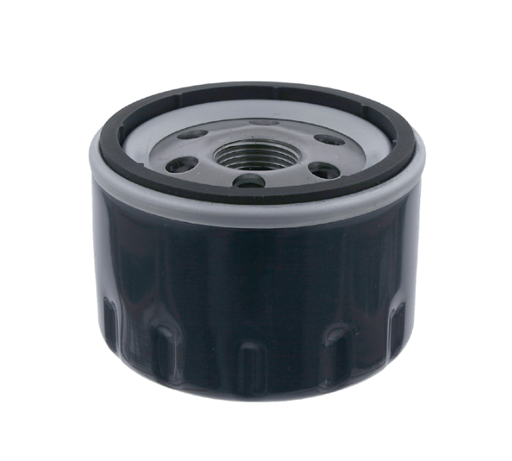 [308] Renault Motor Oil Filter