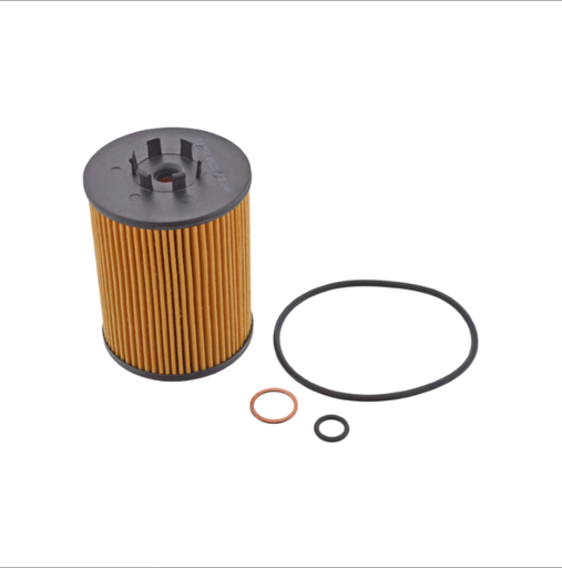 [768] BMW Oil Filter Kit