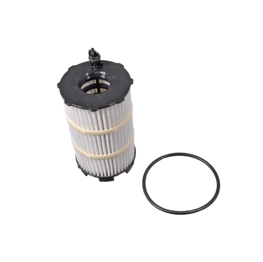 [1100] Audi/VW Oil Filter - 079198405E