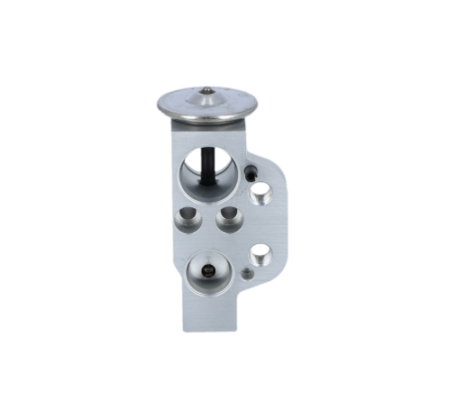 AUDI Expansion Valve