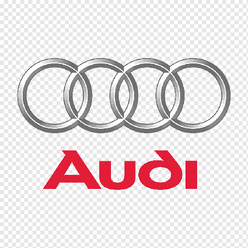 AUDI Adjusting Washer - WHT005518C