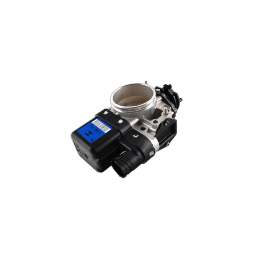 BMW Throttle Body