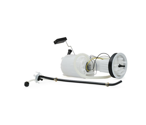 AUDI Fuel Pump Assembly 